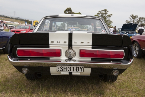 2016 Muscle Car Masters